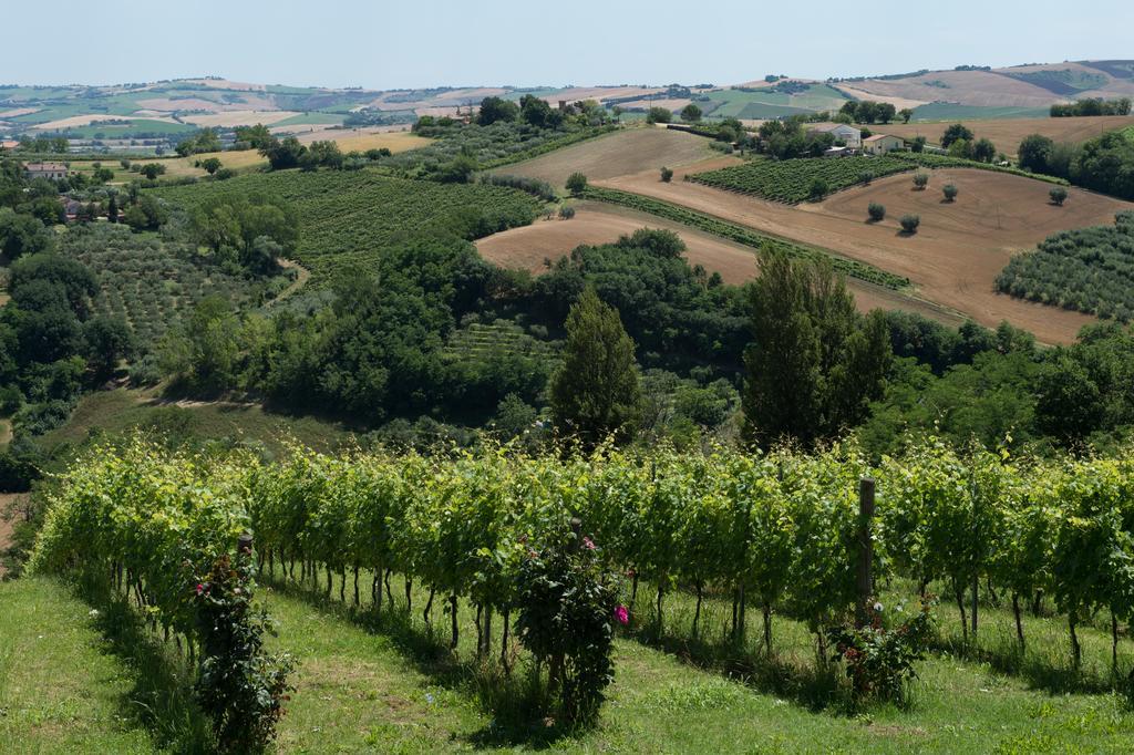 Poggio Montali Villa Monte Roberto Ngoại thất bức ảnh